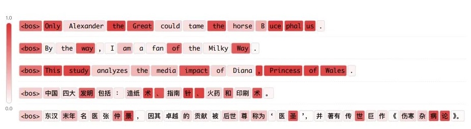 Engram at training and inference